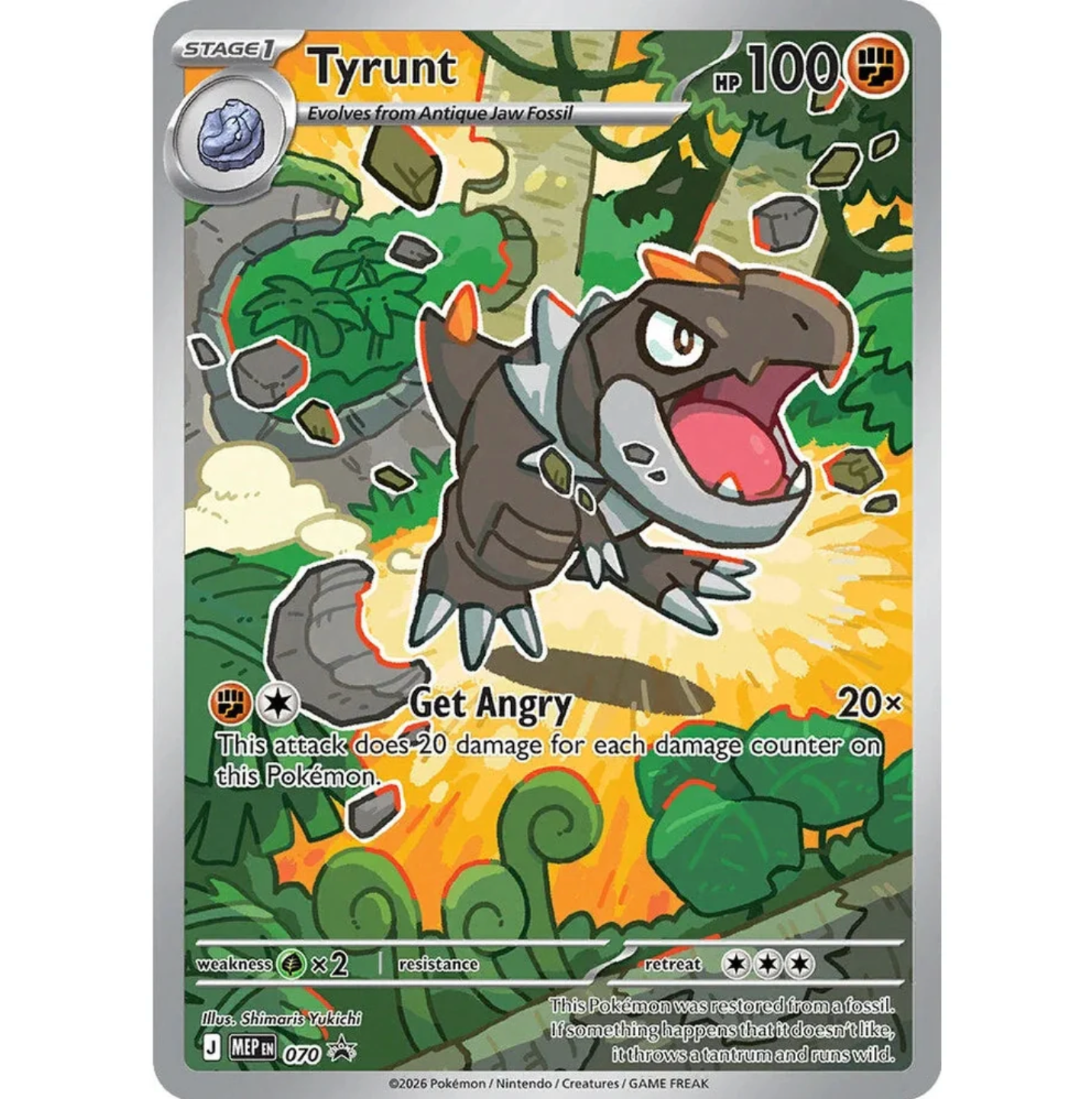 Perfect Order Elite Trainer Box